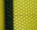 Hexagonal wire netting